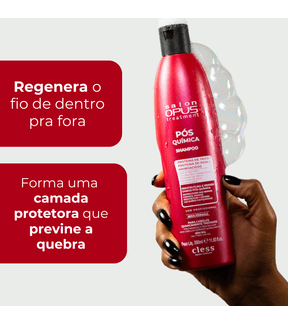 kit Pós Química Shampoo Condicionador e mascara Salon Opus